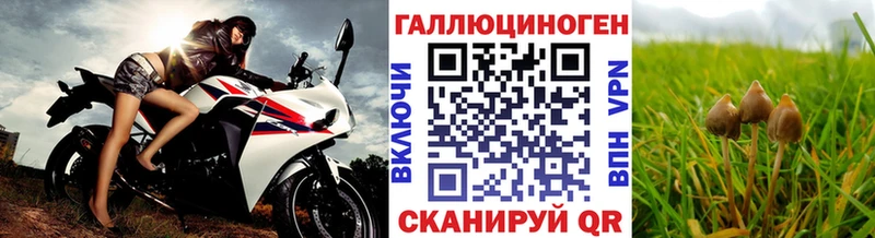 Псилоцибиновые грибы мухоморы  Навашино 